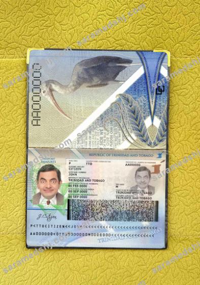 Trinidad and Tobago passport photo look